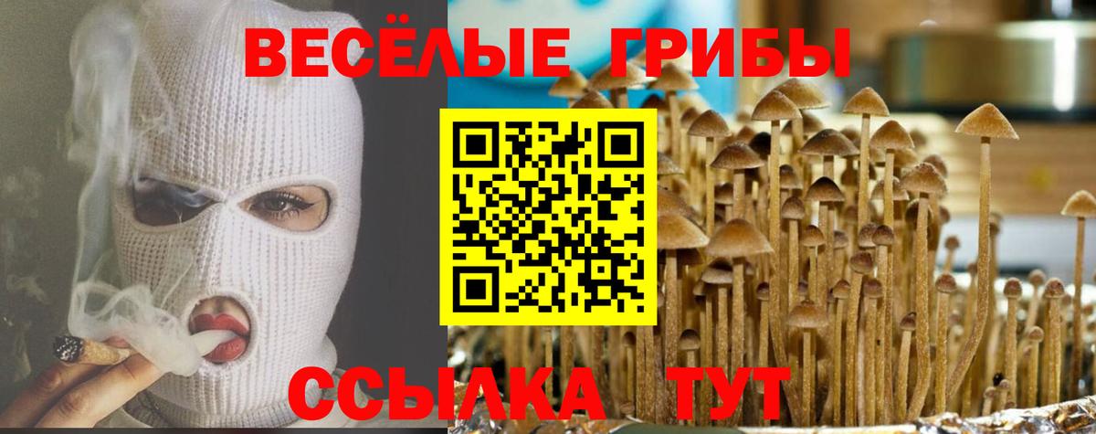 Галлюциногенные грибы прущие грибы Киселёвск